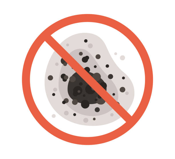  Providence, UT Mold Removal Pros